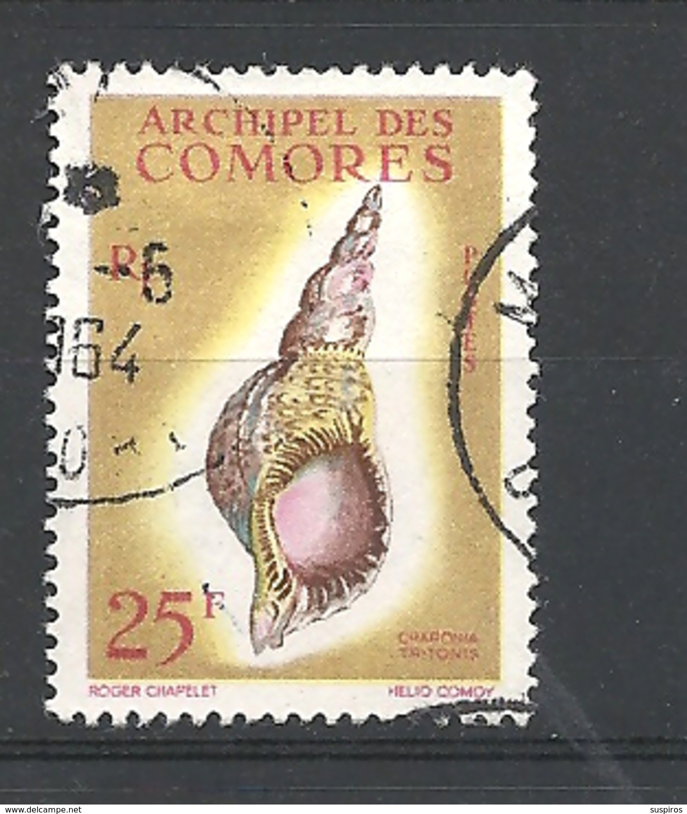 COMORES   1962 Seashells    USED YVERT 24 - Charonia Tritonis - Used Stamps