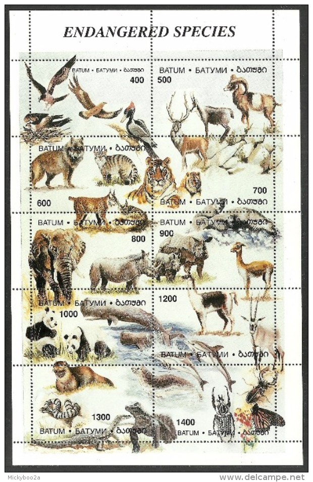 BATUM 1998 WILDLIFE BIRDS PANDA TIGER WHALE REPTILES BUTTERFLY SHEET MNH - Georgia