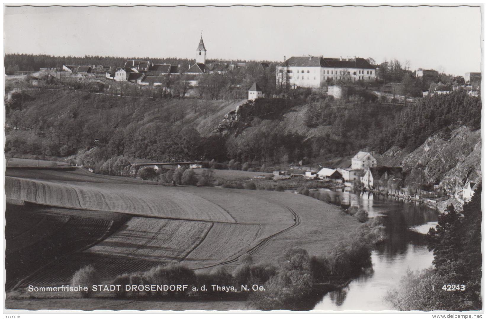 AK - NÖ - Drosendorf An D. Thaya - 1966 - Horn