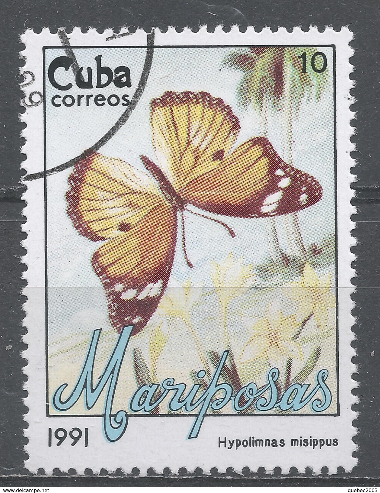 Cuba 1991. Scott #3290 (U) Butterfly, Hypolimnas Misippus - Oblitérés