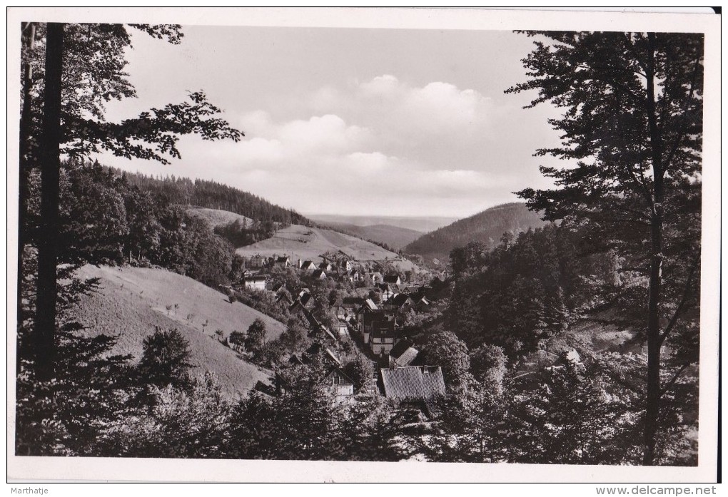 Bad Grund/Oberharz - Blick Vom Iberg - Bad Grund