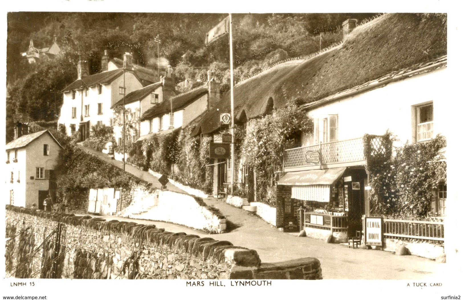 DEVON - LYNMOUTH - MARS HILL RP 1951 Dv908 - Lynmouth & Lynton