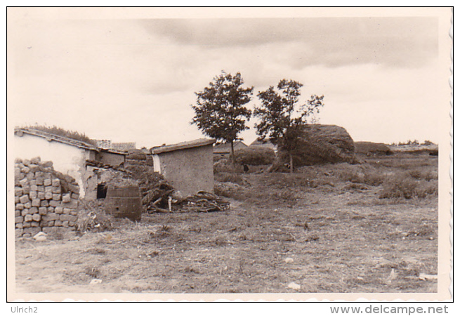 Foto Gehöft Nowo Troitzkoje - Südukraine - Herbst 1941 - 9*6cm  (25495) - Orte