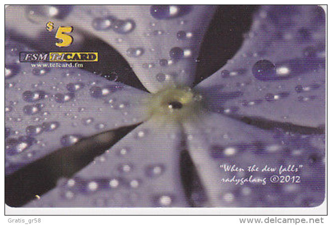 MICRONESIA - Remote Memory 5$ Card, When The Dew Falls, 2012, Used - Micronésie