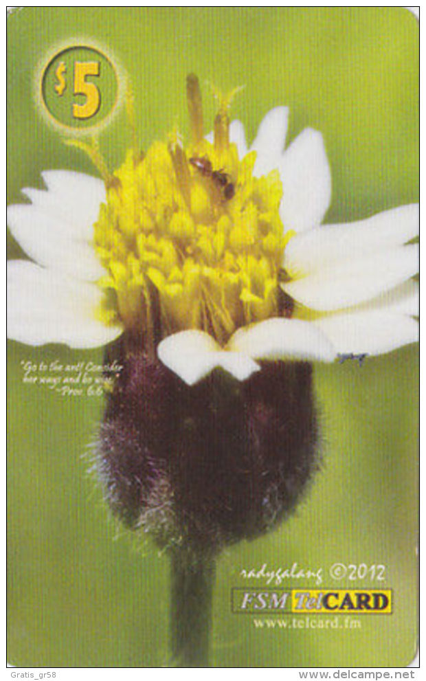 MICRONESIA - Remote Memory 5$ Card, Flower 2, Used - Mikronesien