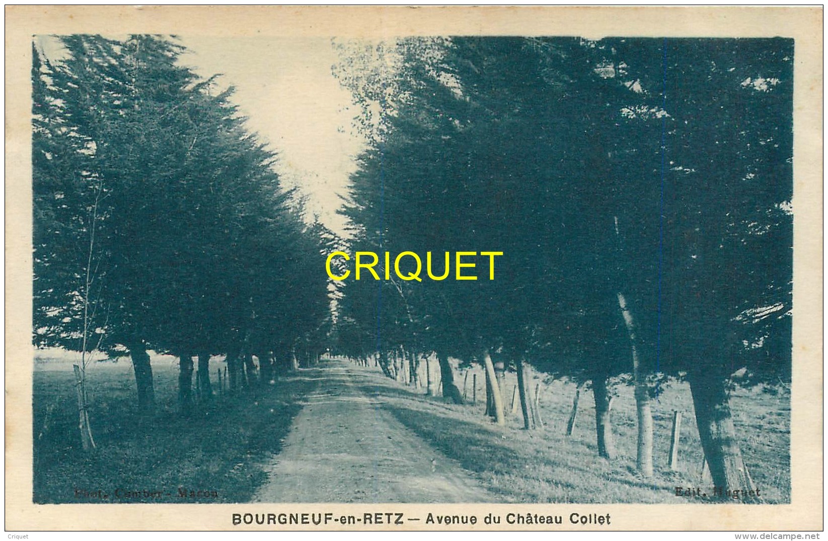 44 Bourgneuf En Retz, Avenue Du Chateau Collet, Carte Pas Courante Affranchie 1934 - Bourgneuf-en-Retz