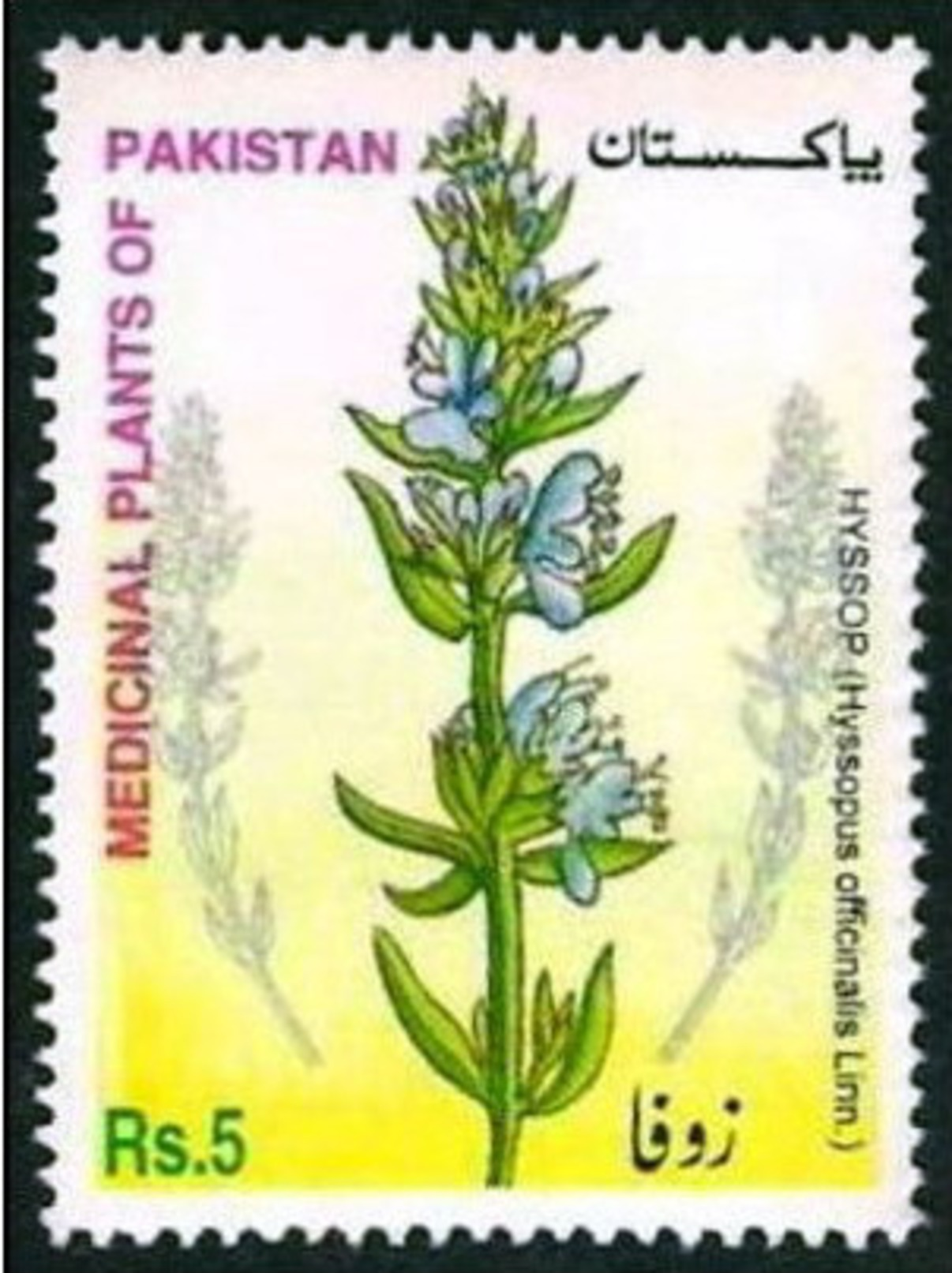 2002 Pakistan Hyssop, Zoofa, Flower, Plant, Agriculture, Medicinal Plants Series (1v) MNH (PK-65) - Other & Unclassified