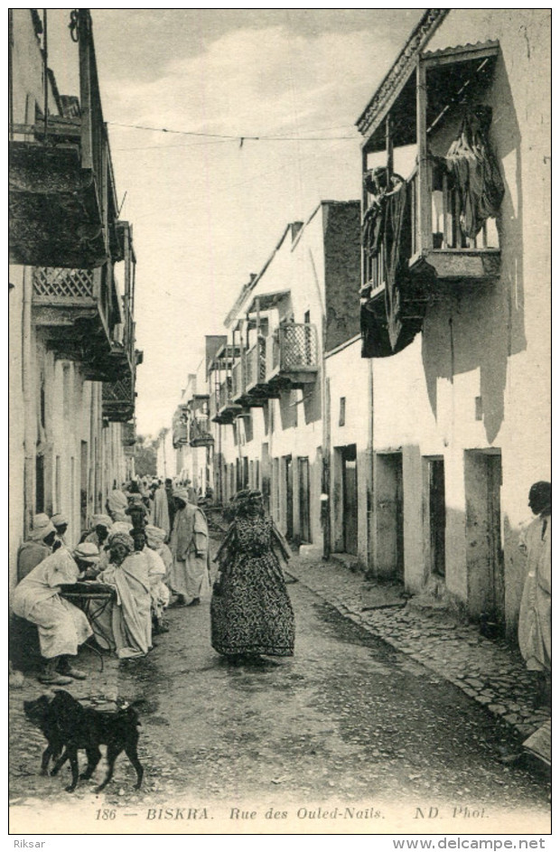 ALGERIE(BISKRA) - Biskra