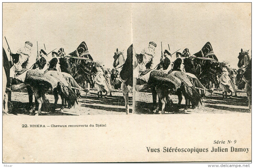 ALGERIE(BISKRA) CARTE STEREO - Biskra