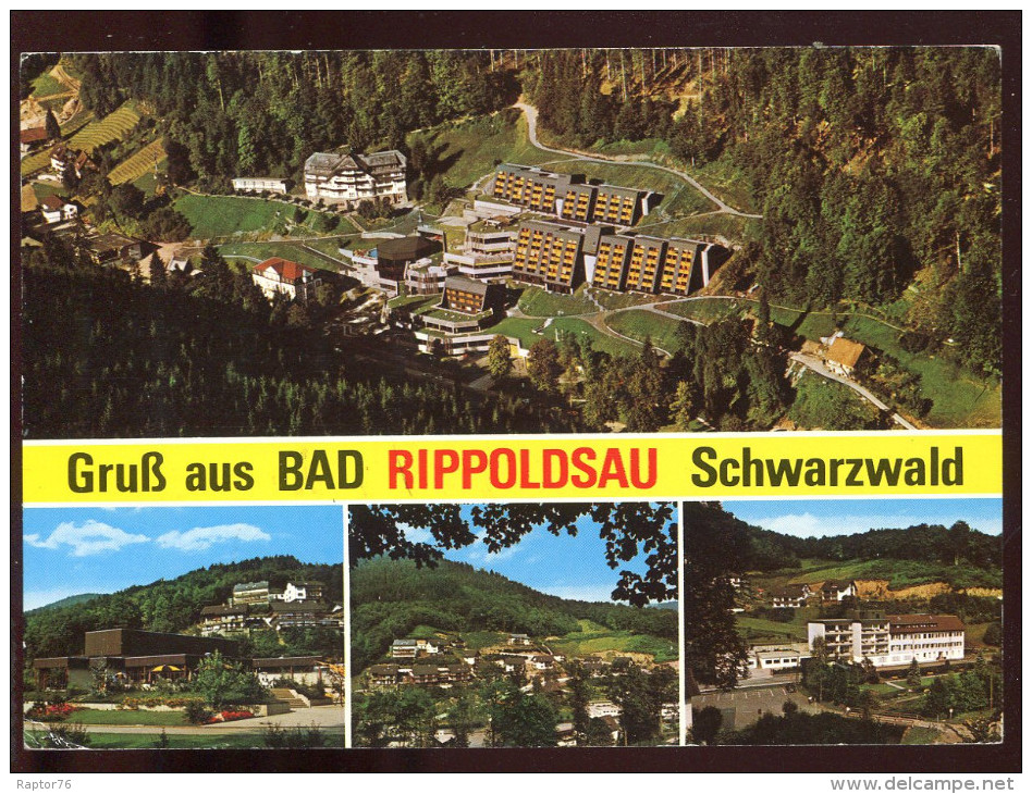 CPM Allemagne Gruss Aus BAD RIPPOLDSAU Schwarzwald Multi Vues - Bad Rippoldsau - Schapbach