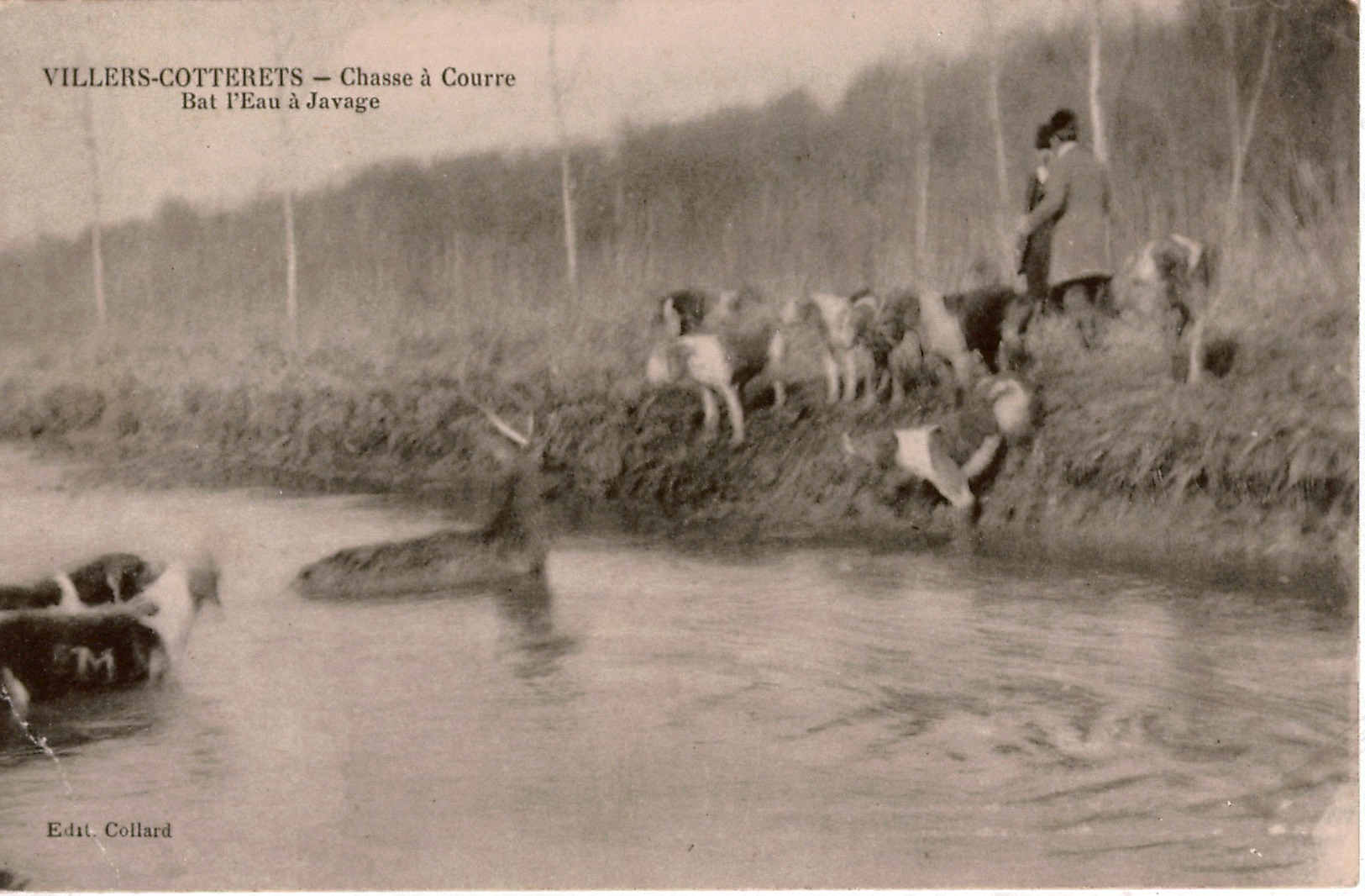 Bon lot 18 cpa Vénerie, Chasse à Courre au cerf , diverses forêts de France , 16 cartes sont en bon état