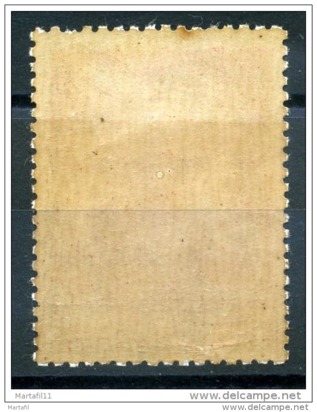 1925-29 DANIMARCA POSTA AEREA N.3 (A3) LINGUELLATO* - Poste Aérienne