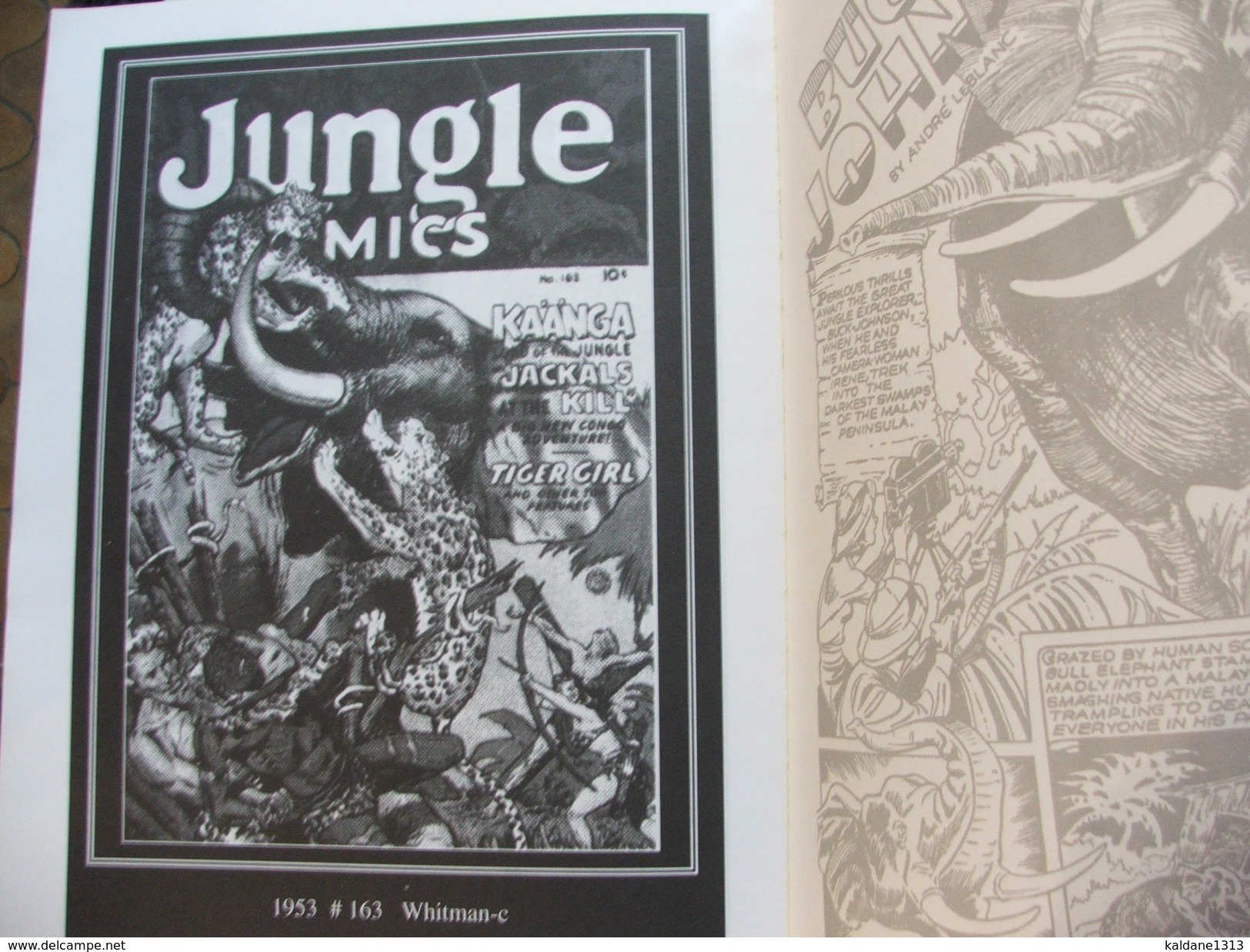 Jungle Comics  Pour Amateur De Tarzan  Reproduction En Noir Et Blanc Des Couvertures 1940-1954 - Otros & Sin Clasificación