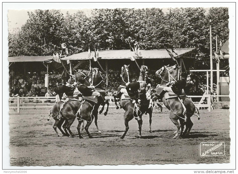 Maine Et Loire - 49 - Saumur école Cavalerie Courbettes  Ed Photo Perrusson 1965 - Saumur