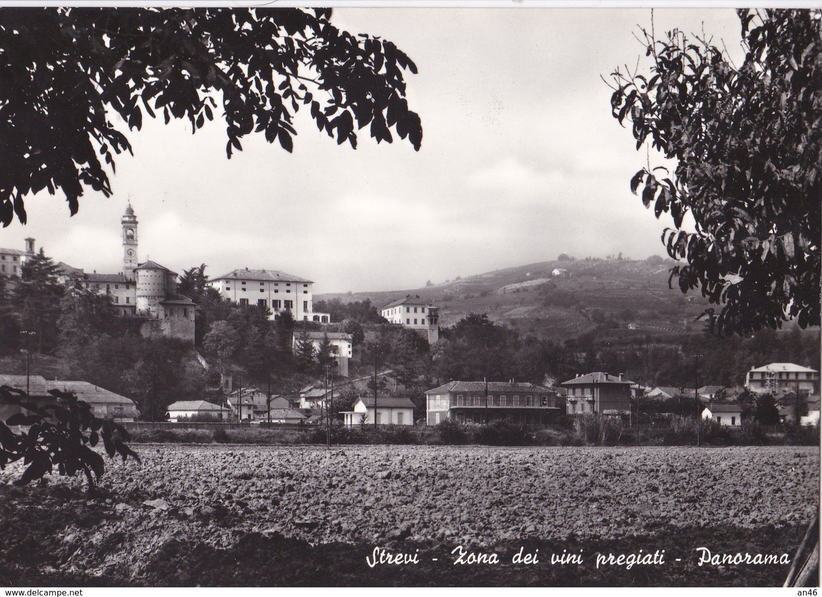 STREVI - ZONA DEI VINI PREGIATI PANORAMA VG 1964 AUTENTICA 100% - Alessandria