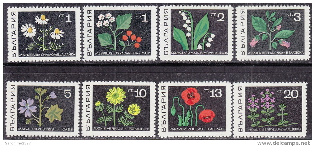 BULGARIA 1969 FLORA Plants Flowers HERBS - Fine Set MNH - Geneeskrachtige Planten