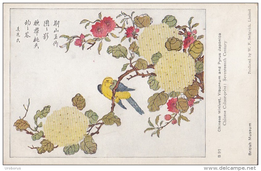 CHINA - Chinese Minivet, Viburnum And Pyrus Japonica - Chinese Colour Print - Seventheenth Century - British Museum - Chine