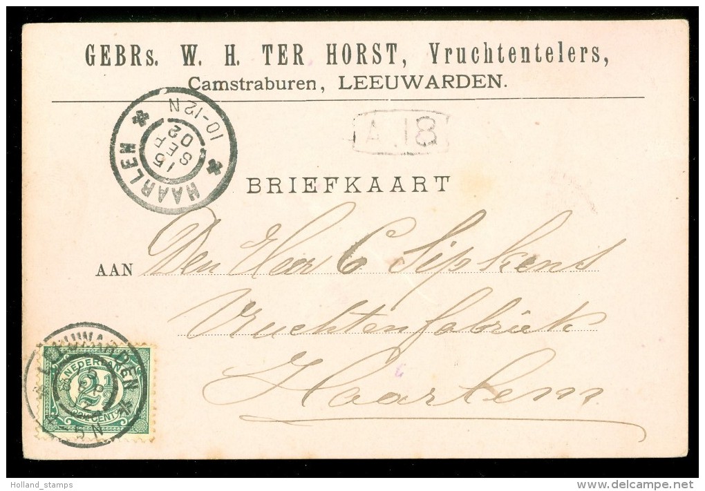 HANDGESCHREVEN BRIEFKAART Uit 1902 Gelopen Van LEEUWRDEN Naar HAARLEM (10.519L) - Brieven En Documenten