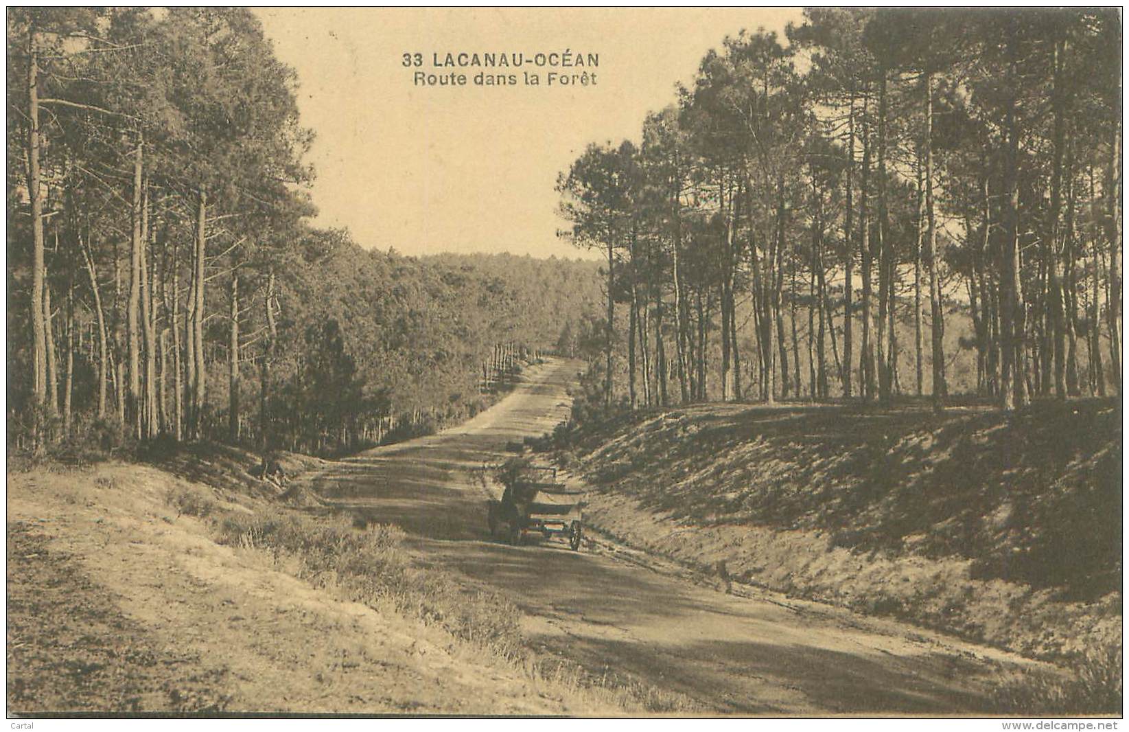 33 - LACANAU-OCEAN - Route Dans La Forêt - Autres & Non Classés