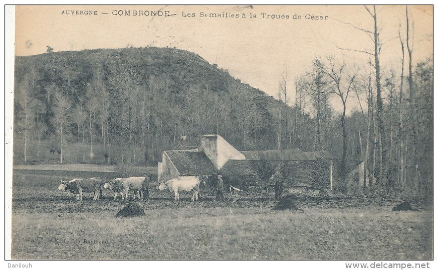 63 // COMBRONDE  Les Semailles à La Trouée De César - Combronde