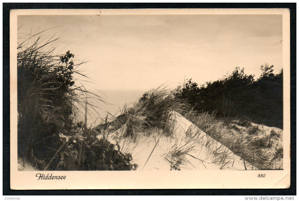 6174 - Alte Foto Ansichtskarte - Hiddensee - Likitra - Gel 1955 - Hiddensee