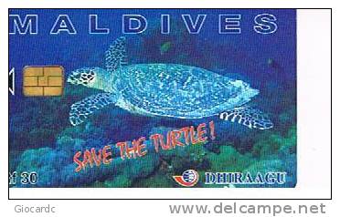 MALDIVE (MALDIVES)   - DHIRAAGU (CHIP) - 2000 SAVE THE TURTLE CODE 227MLDGIA     - USED - RIF. 9093 - Schildpadden