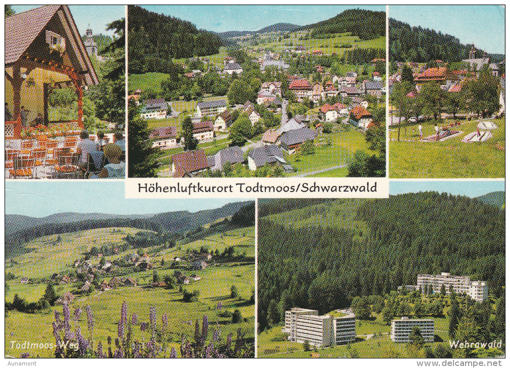 Alemania--1958--Höhenluftkurot Todtmoos/Schwarzwald - Todtmoos