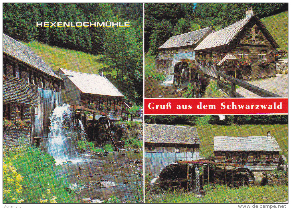 Alemania--1990--Grub Aus Dem Schwarzwald--Hexenlochmühle - Todtmoos