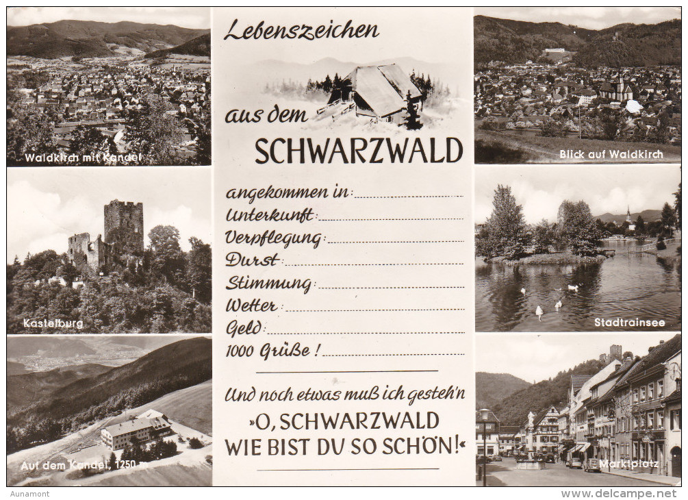 Alemania--1967--Lebenszeichen Aus Dem Schwarzwald-- - Todtmoos