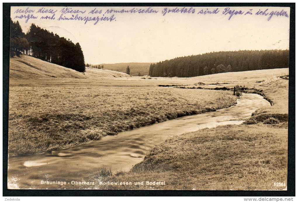 7631 - Alte Foto Ansichtskarte - Braunlage Kolliesiesen Und Bodetal - Gel 1929 - Braunlage