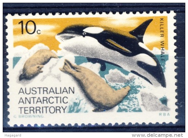 +Australian Antartic Territory 1973. Whale. Michel 28. MNH(**) - Unused Stamps