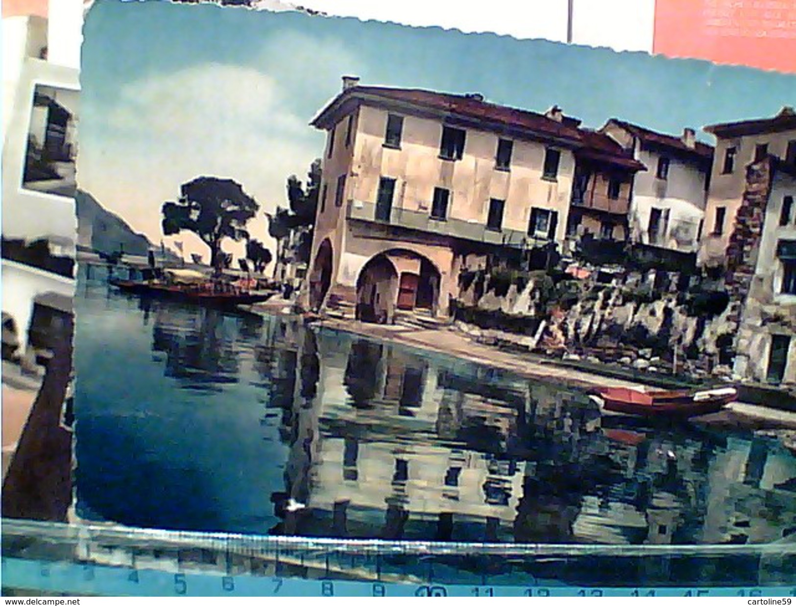 19 CARD LAGO MAGGIORE VEDUTEISOLE  PALLANZA STRESA CANNERO LAGO ORTA  ASCONA ANGERA SUNA ARONA MIASINO V19751  FR6981 - Verbania