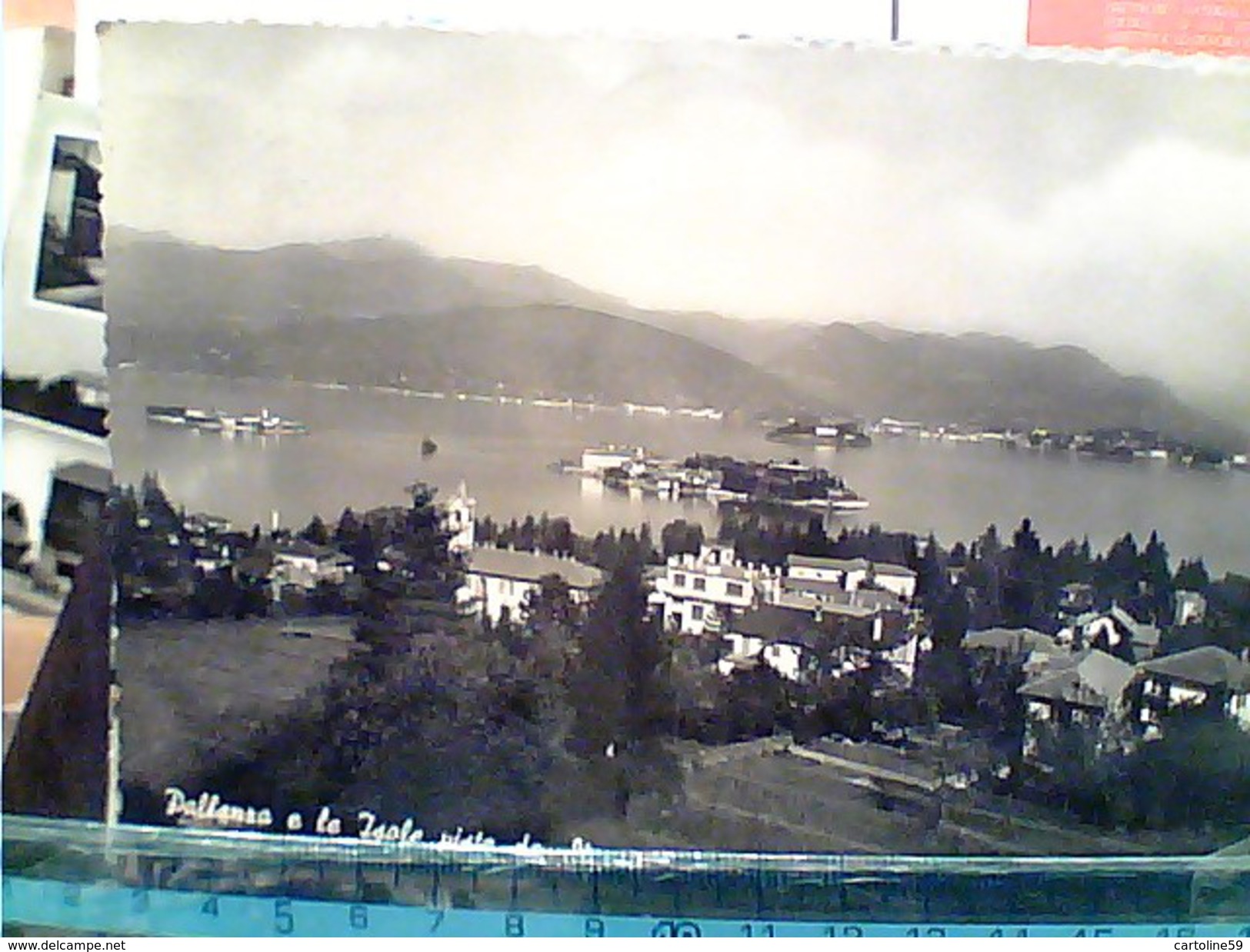 19 CARD LAGO MAGGIORE VEDUTEISOLE  PALLANZA STRESA CANNERO LAGO ORTA  ASCONA ANGERA SUNA ARONA MIASINO V19751  FR6981