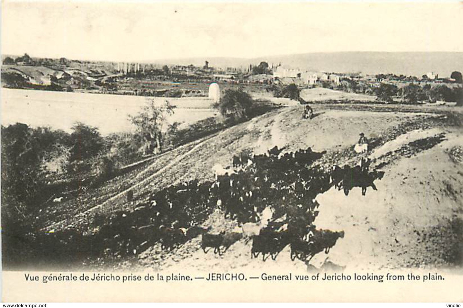 E-16 -2300 : JERICHO - Jordanië