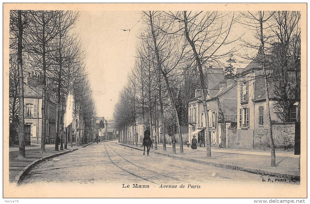 LE MANS - Avenue De Paris - Le Mans