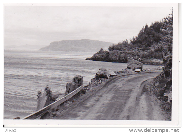 Foto Am Trondheim-Fjord - Norwegen - Ca. 1940 - 8*5,5cm (25555) - Orte