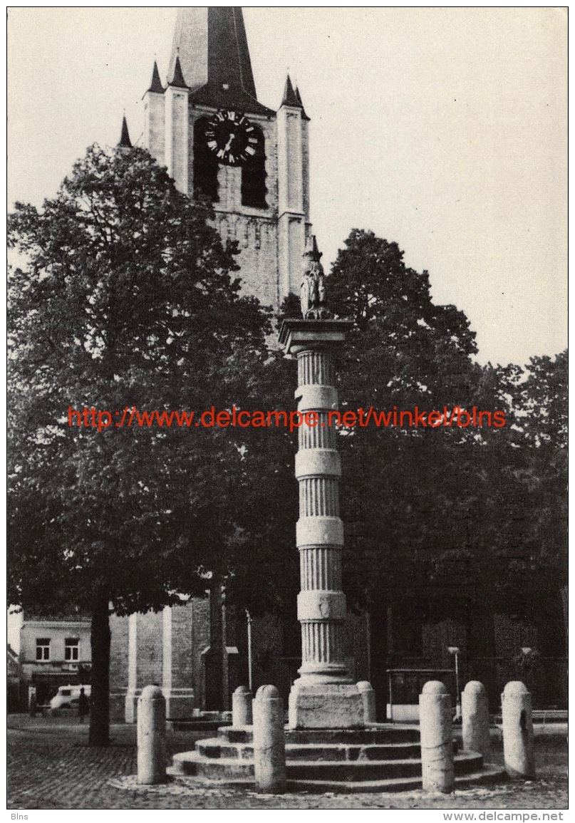 De Kaeck Sint-Petruskerk Wommelgem - Wommelgem