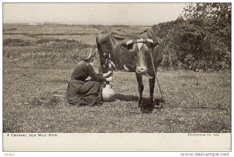 CHANNEL ISLE MILK MAID LA TRAITE DU LAIT SUR LA VACHE - Andere & Zonder Classificatie