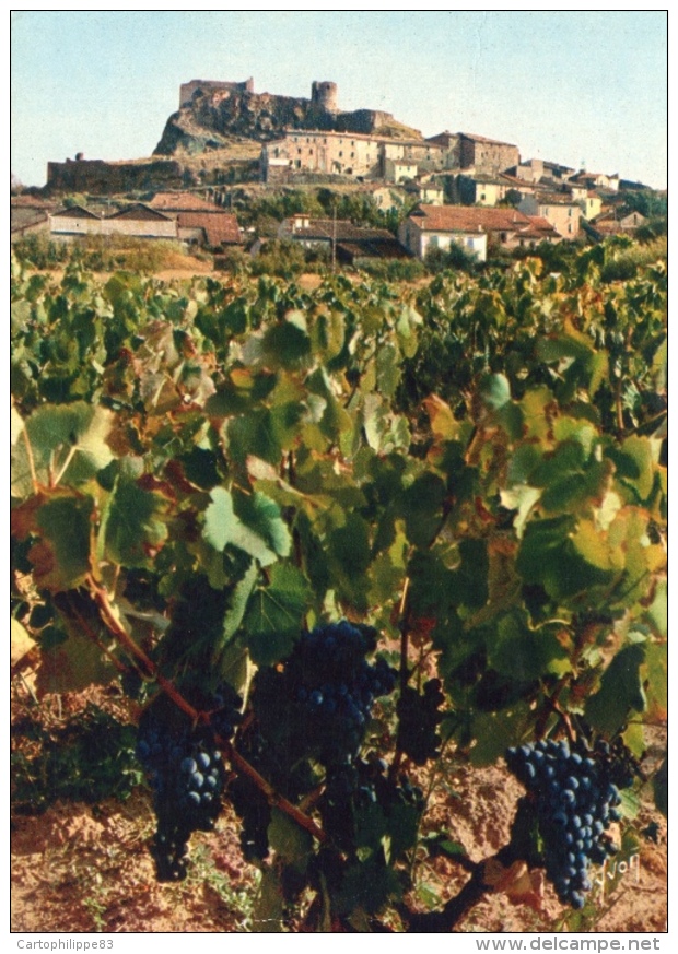 VAR 83 LA GARDE VUE GENERALE AVEC LES VIGNES ANNEE 60 - La Garde