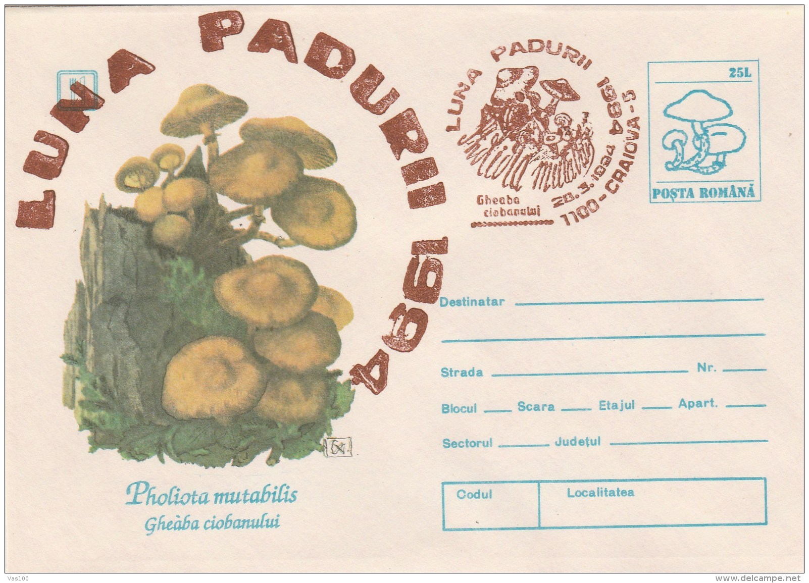 #BV4222 MUSHROOMS, PHOLIOTA MUTABILIS, NATURE, COVER STATIONERY, SPECIAL OBLITERATION, 1994, ROMANIA. - Mushrooms