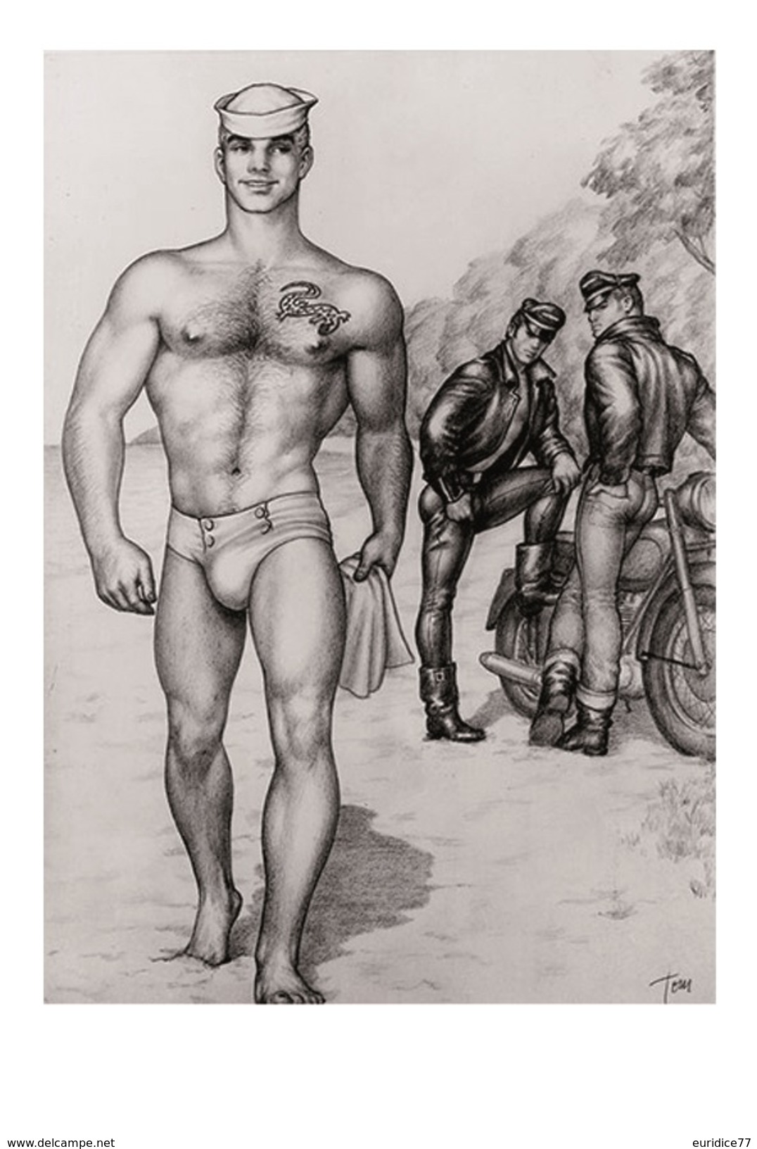 TOM OF FINLAND GAY INTEREST POSTCARD 52 -  SIZE: 15X10 CM. APROX. MINT - Cómics