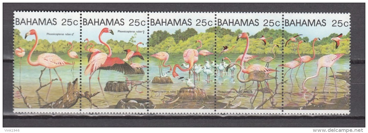 Bahamas 1982,5V In Strip,flamingo,birds,vogels,vögel,oiseaux,pajaros,uccelli,aves,:MNH/Postfris(L2850) - Flamants