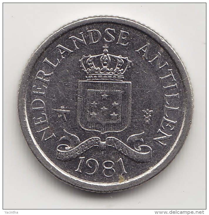 @Y@    Nederlandse Antillen   10 Cent  1981      (3456) - Netherlands Antilles