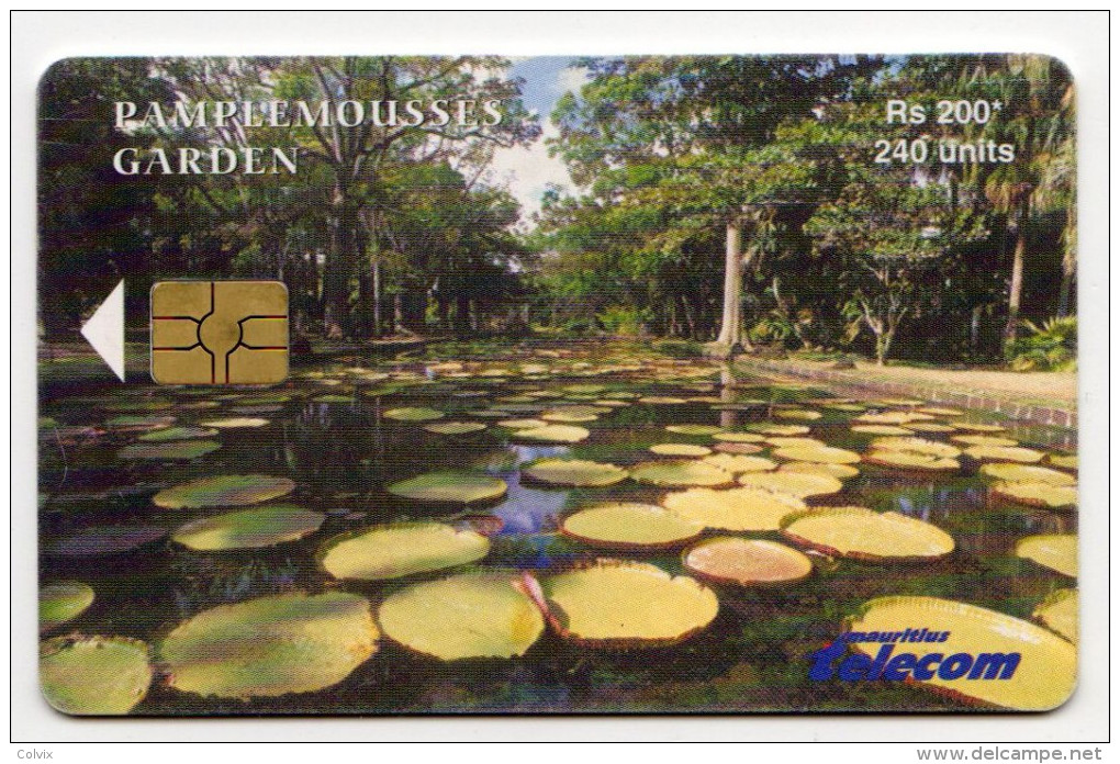 MAURICE Ref MV Cards MAU-57  240 U Pamplemousses Garden DATE 2003 - Maurice