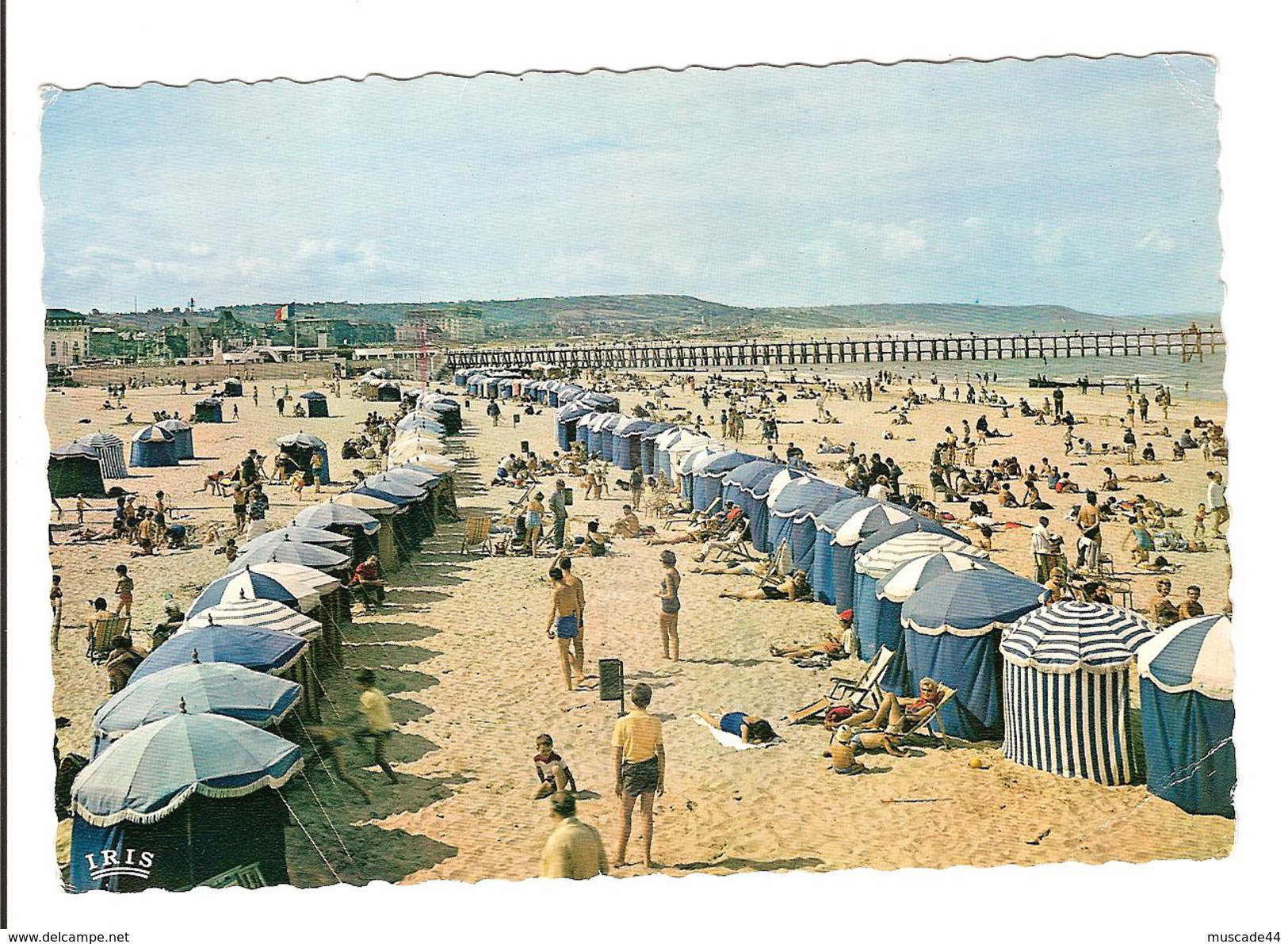 TROUVILLE - REINE DES PLAGES - LA PLAGE ET LA JETEE - Trouville