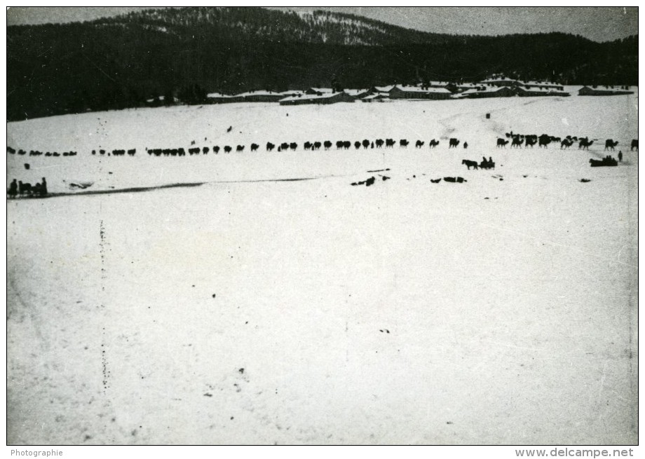 Front D'Orient Armee D'Orient Scene D'Hiver Guerre De 14-18 WWI WW1 Photo Ancienne - War, Military