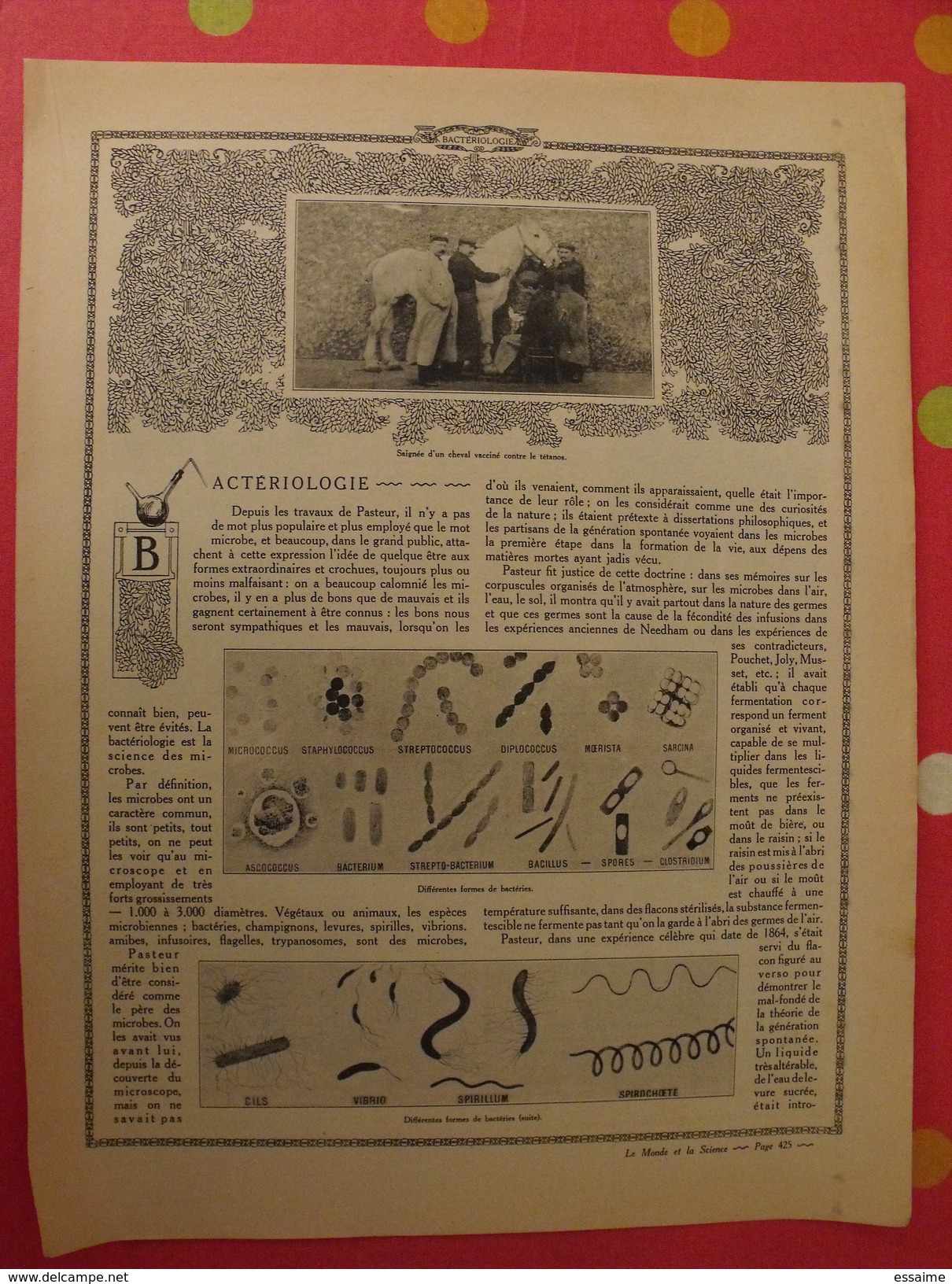 Le Monde Et La Science 1935. Bactériologie Beurre Margarine Café Champagne Chauffage. Nombreuses Photos Encyclopédie - Encyclopedieën