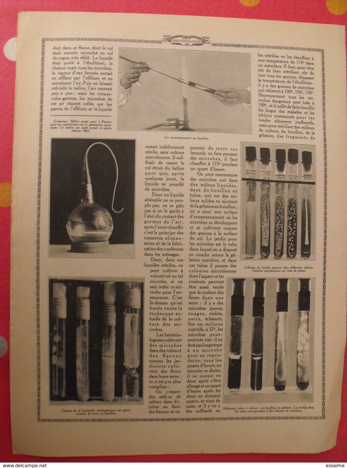 Le Monde Et La Science 1935. Bactériologie Beurre Margarine Café Champagne Chauffage. Nombreuses Photos Encyclopédie - Enciclopedie