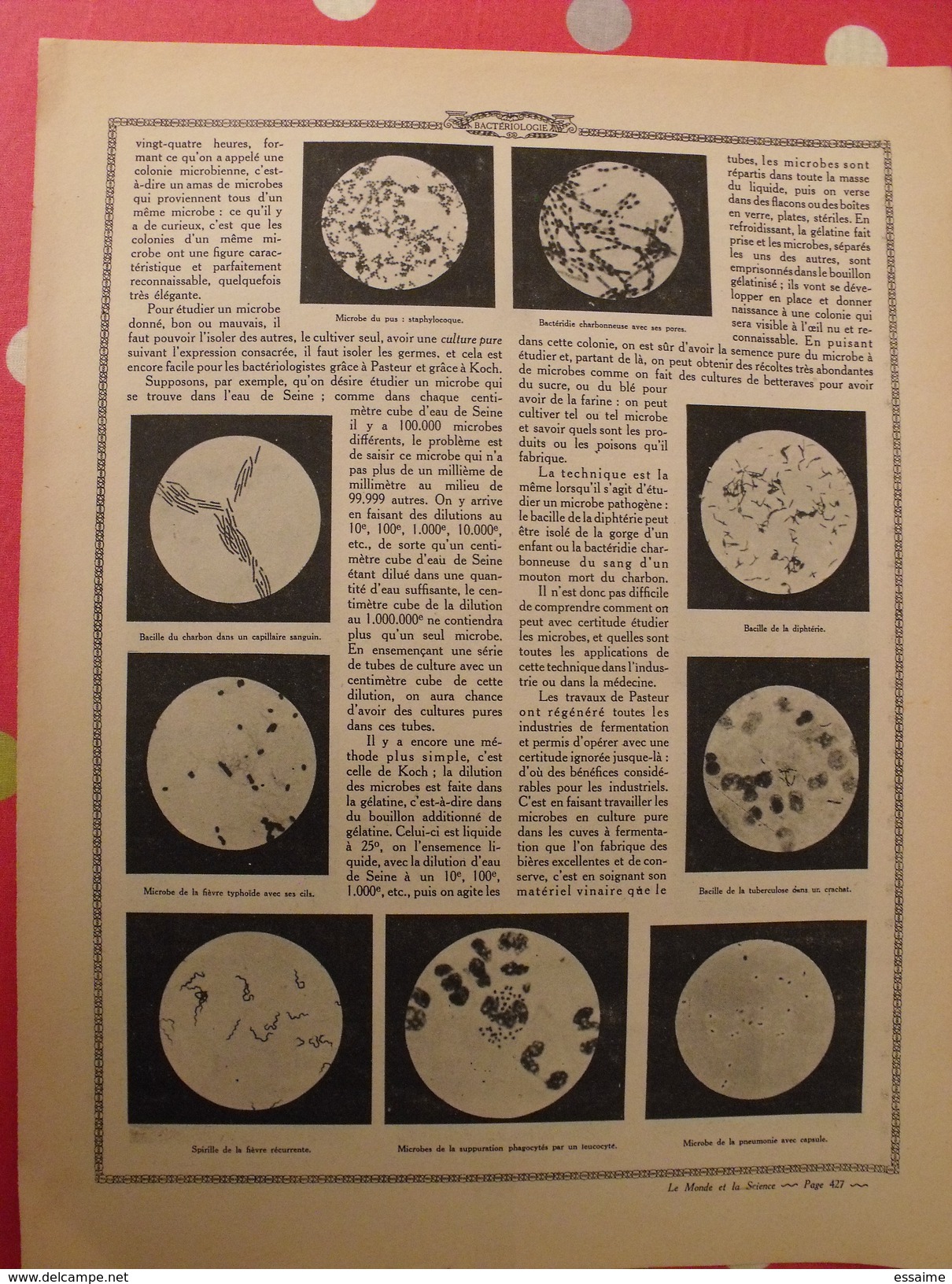 Le Monde Et La Science 1935. Bactériologie Beurre Margarine Café Champagne Chauffage. Nombreuses Photos Encyclopédie - Encyclopédies