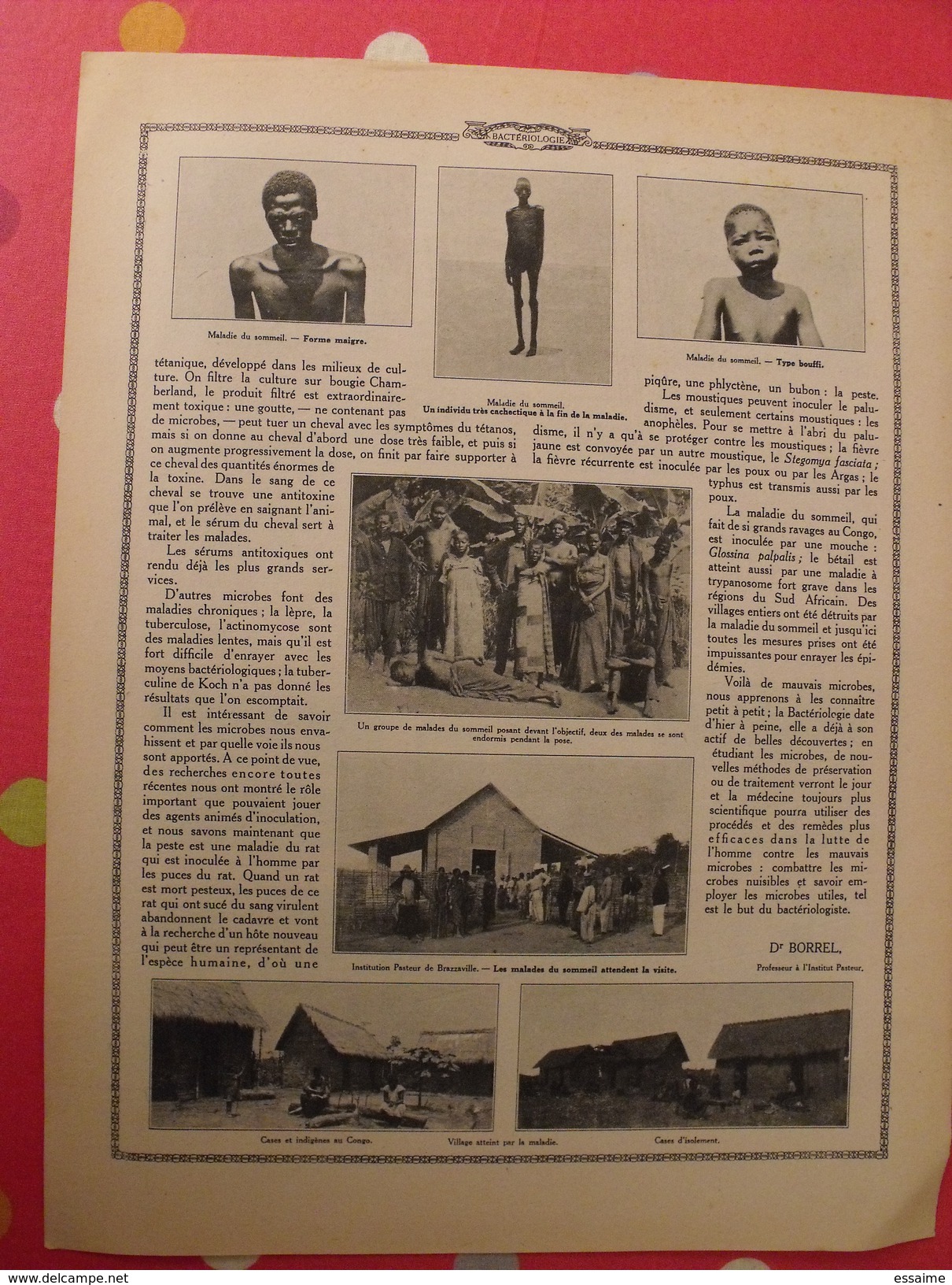 Le monde et la science 1935. bactériologie beurre margarine café champagne chauffage. nombreuses photos encyclopédie